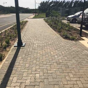 Project RBIDZ Entrance Gate Image 3